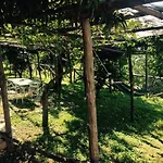Frühstückspension Casa Flora