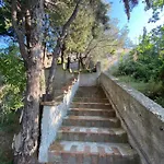 Casa Flora