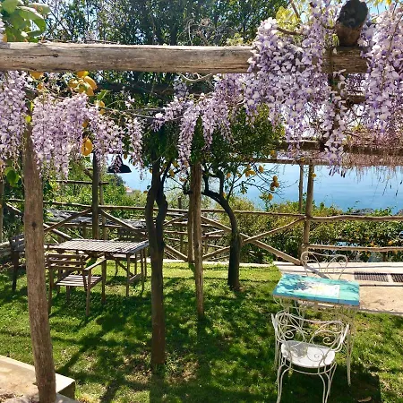 Casa Flora 4*