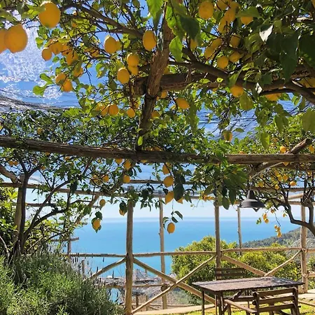 فندق مبيت وإفطار Casa Flora Vietri