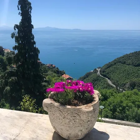 فندق مبيت وإفطار Casa Flora Vietri