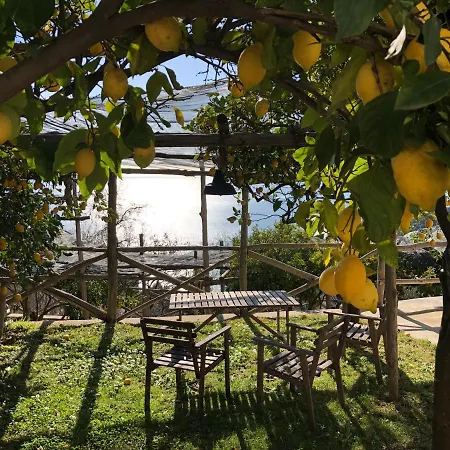 Casa Flora Bed & Breakfast 4*