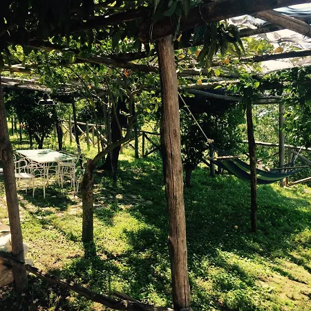 Bed & Breakfast Casa Flora