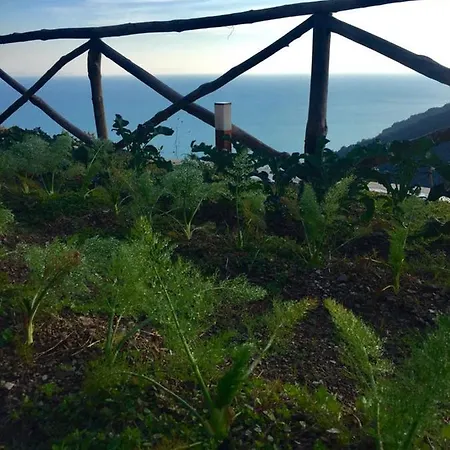 Casa Flora