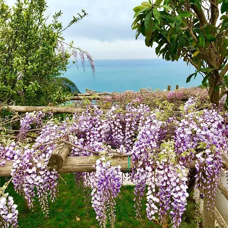 Casa Flora Bed & Breakfast *