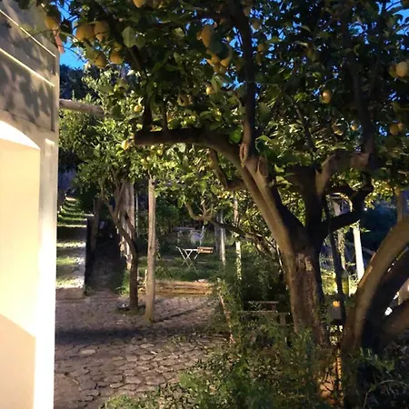 Casa Flora Bed & Breakfast