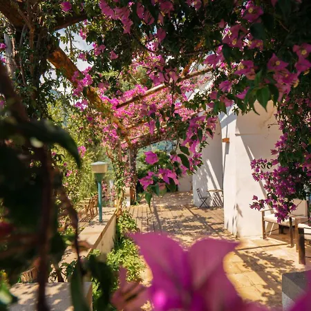 Casa Flora