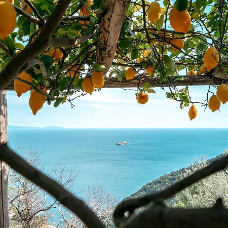 Casa Flora * Vietri sul Mare