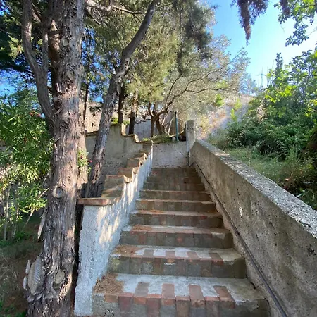Casa Flora