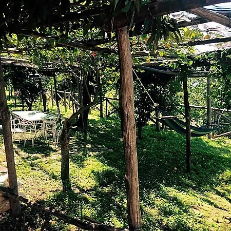 Casa Flora Bed & Breakfast Vietri