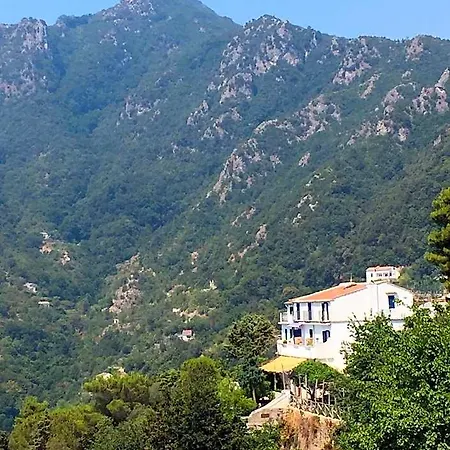Casa Flora