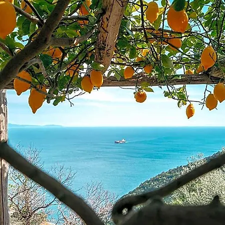 Casa Flora Vietri sul Mare