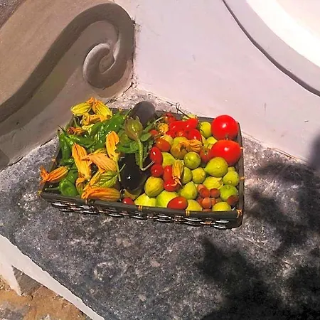 Bed & Breakfast Casa Flora